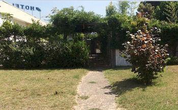 Ribeirotel Albergaria-a-Velha Exterior photo